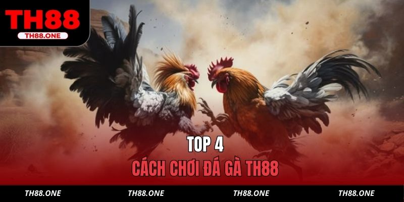 Top 4 cách chơi đá gà TH88